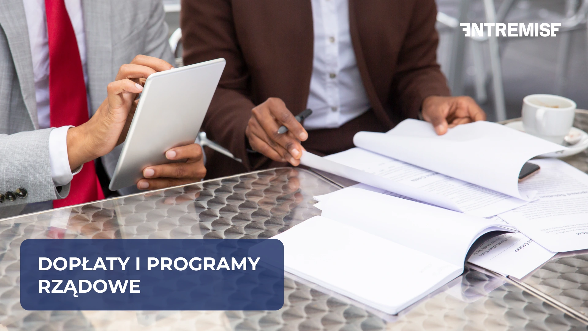 Subsidies and government programs